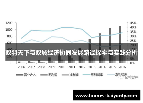 双羽天下与双城经济协同发展路径探索与实践分析