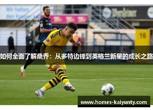 如何全面了解桑乔：从多特边锋到英格兰新星的成长之路
