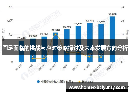 国足面临的挑战与应对策略探讨及未来发展方向分析
