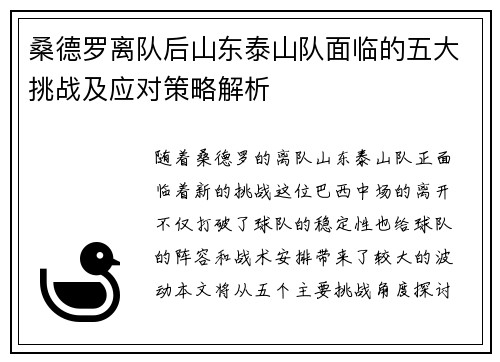 桑德罗离队后山东泰山队面临的五大挑战及应对策略解析
