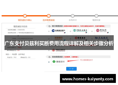 广东支付贝兹利买断费用流程详解及相关步骤分析