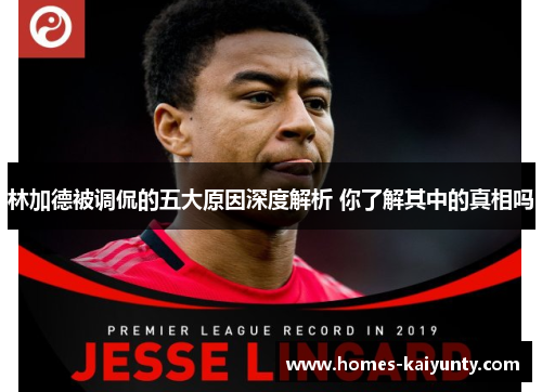 林加德被调侃的五大原因深度解析 你了解其中的真相吗 林加德被调侃的五大原因深度解析 你了解其中的真相吗