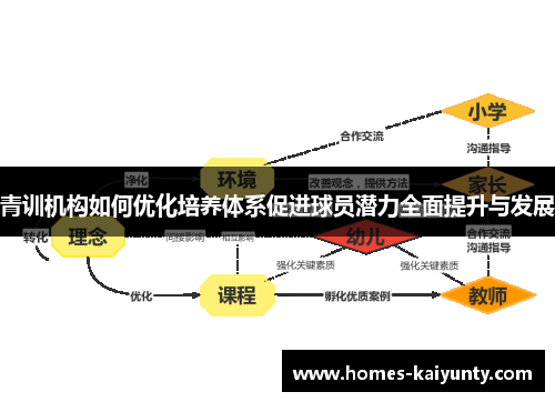 青训机构如何优化培养体系促进球员潜力全面提升与发展