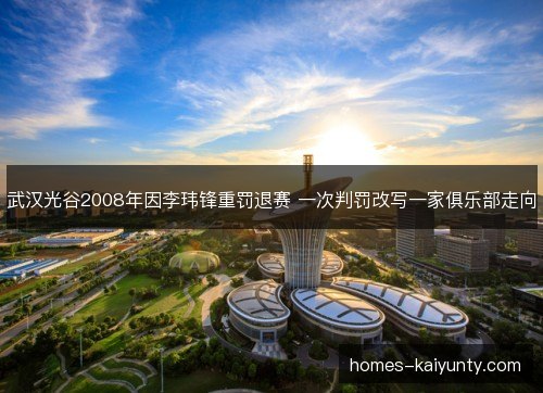 武汉光谷2008年因李玮锋重罚退赛 一次判罚改写一家俱乐部走向 武汉光谷2008年因李玮锋重罚退赛 一次判罚改写一家俱乐部走向